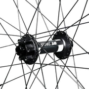 26er Fat Bike Wheels(DT hub) F685