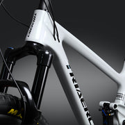 Triaero Carbon P1 Suspension MTB Bike Grey Painting