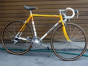 Gravel bike for 1000 sale