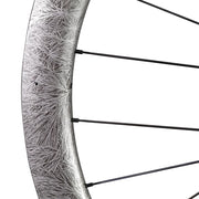 AERO 50 DT Swiss Disc Wheels Art Paint