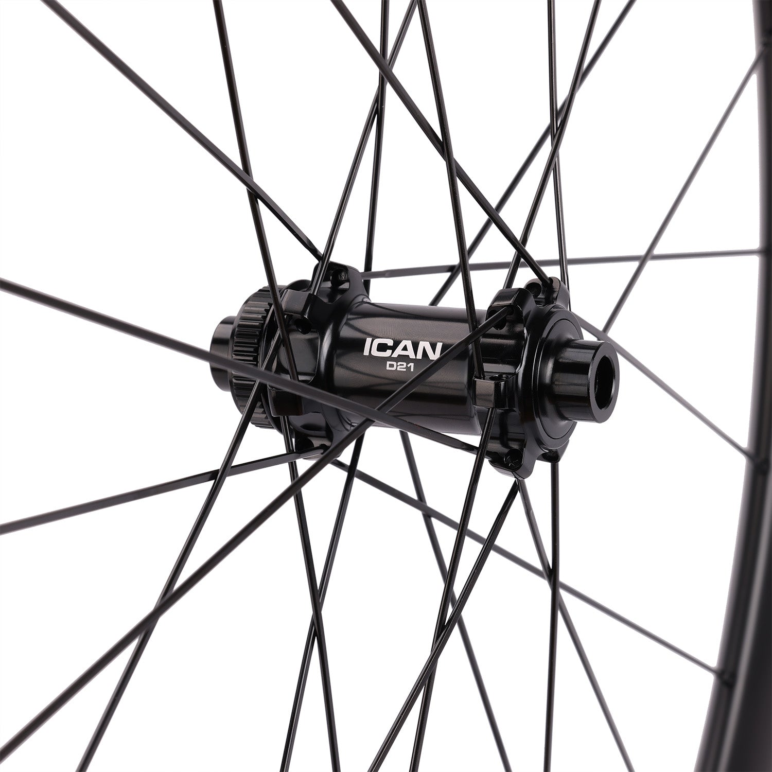 Alpha 40 II Disc