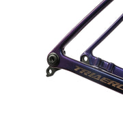 ICAN Flyee road bike disc frame