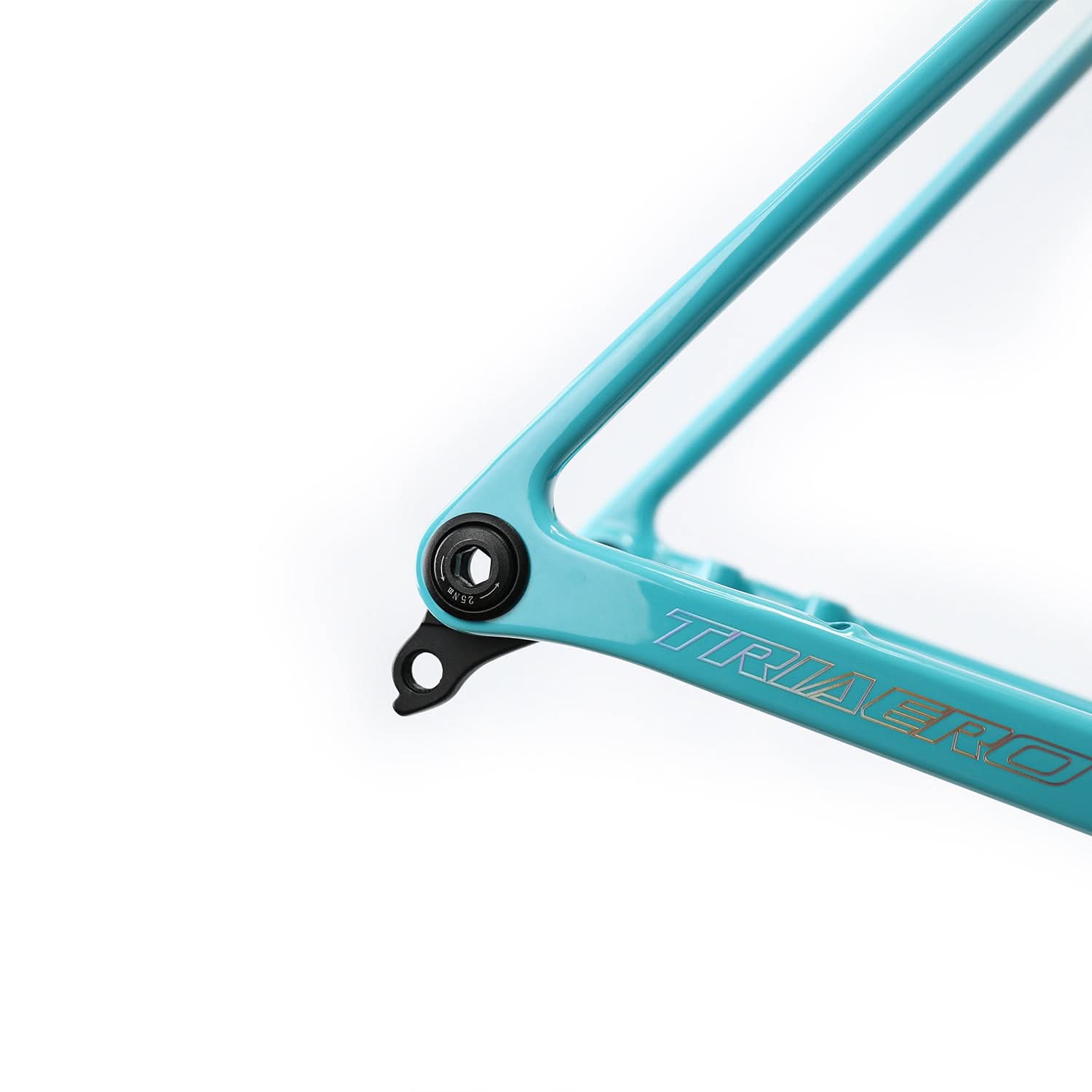 Disc Frame ICAN Flyee Carbon Road Bike Frame – ICAN Cycling