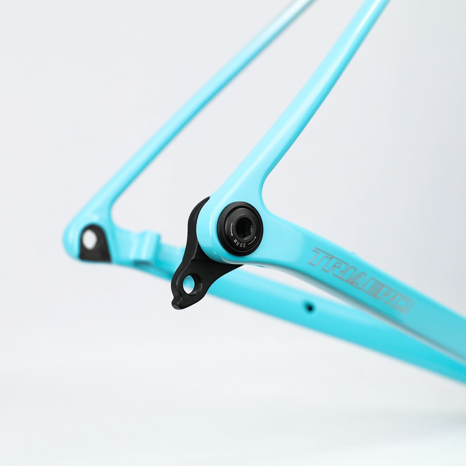 Disk Frame ICAN Flyee Carbon Road Bike Frame – ICAN Cycling