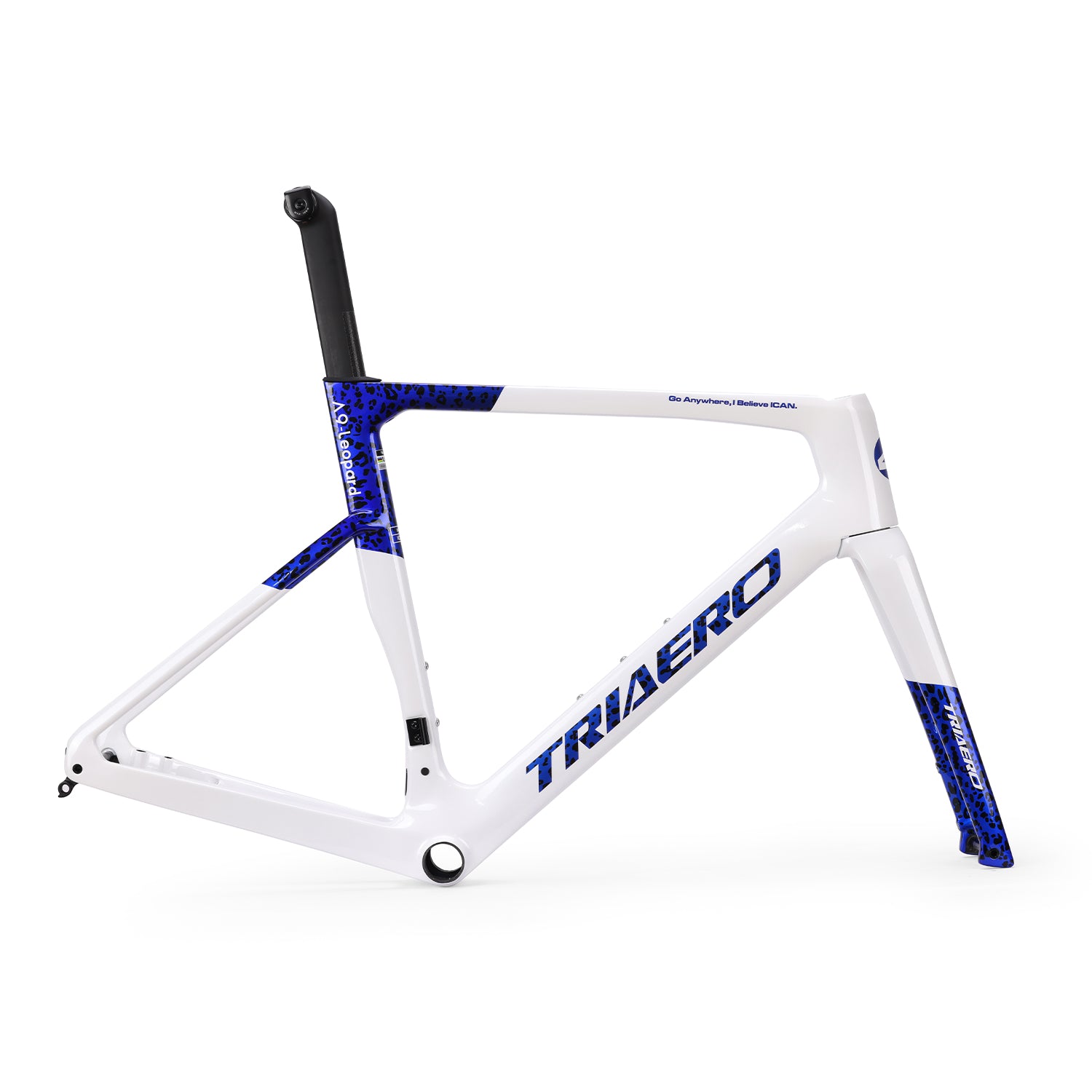 rennrad disc rahmen Triaero Carbon Disc Rennrad Rahmenset A9 Dsic Bremse Rahmenset Lackierung – ICAN Cycling