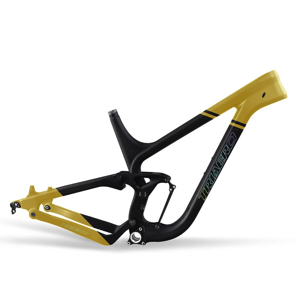 P9 Custom Paint – ICAN Cycling