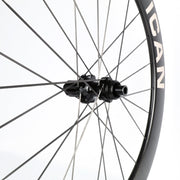 52 Pie Carbon Spoke 21mm EU