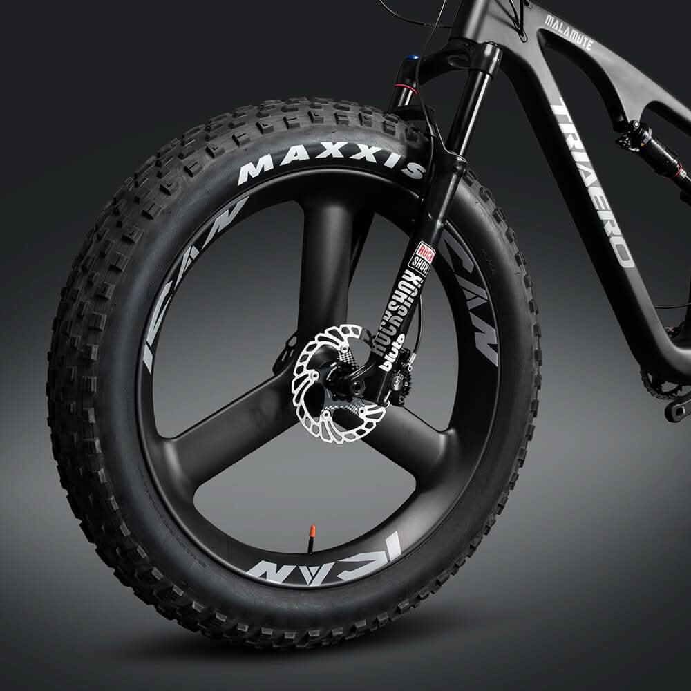 Spoke Wheels Bicycle