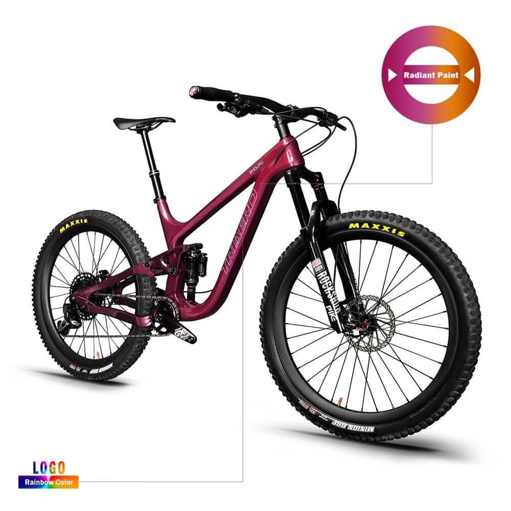 ICAN 29er Carbon Enduro Bike Mountain Bike P9 Rainbow Painting