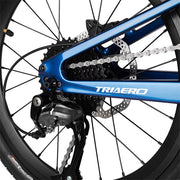 ruedas de bicicleta plegables de carbono