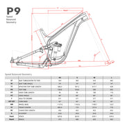 ICAN P9 Carbon MTB 148 mm Boost Frame Size Geometrie