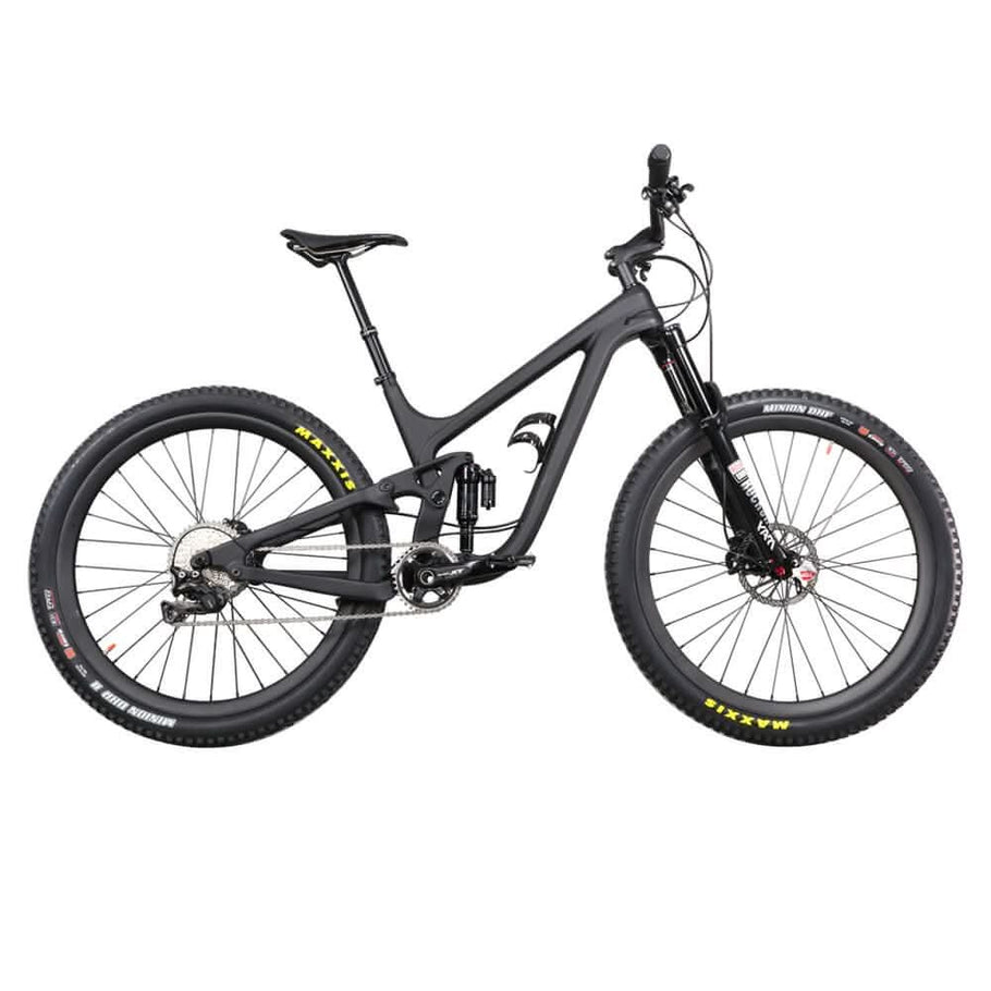 The best Carbon 29er full suspension Enduro Bike Mountain Bike P9 under